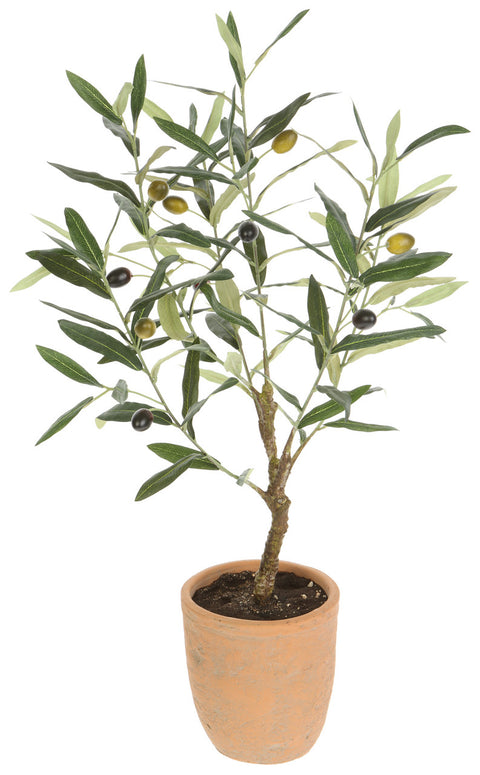 Faux Olive Tree in Cement Pot Green - 26 inch