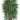 Faux Rhapis Tree x6 with 1502 Leaves in Pot Green - 6 foot