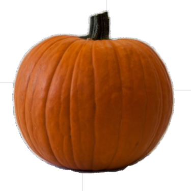 Orange Carving Pumpkin- Medium