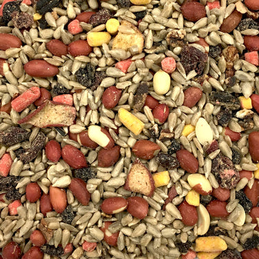 Coles Nutberry Suet Blend - 5 lbs