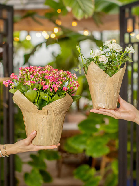 pot covers for plants Natural Carta Foil Pot Cover
