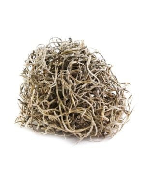 Supermoss Spanish Natural - 32 oz