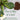 We the Wild Compostable Mess-Free Potting Mat - 2 Pack