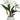 Faux Cattleya Orchid Plant in Terra Cotta Pot White - 18 inch