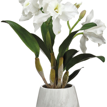 Faux Cattleya Orchid Plant in Terra Cotta Pot White - 18 inch