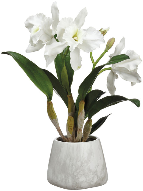 Faux Cattleya Orchid Plant in Terra Cotta Pot White - 18 inch