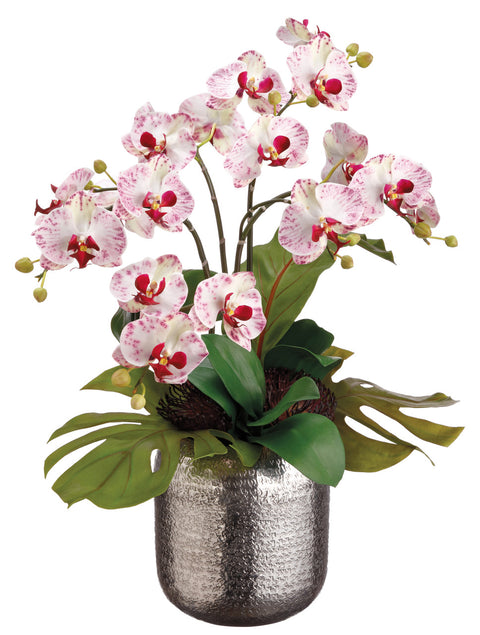 Faux Bird's Nest Leaf & Phalaenopsis White Orchid in Silver Ball - 25 inch
