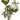 Faux Protea/Eucalyptus/Wolly in Vase Cream - 22 inch