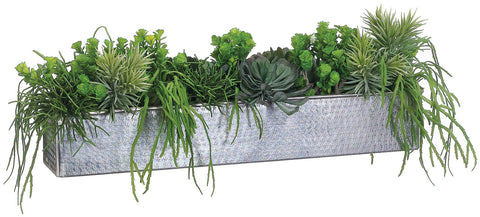 Faux Aeonium/Cactus Mix In Aluminum Rectangular Planter Green - 11 inch