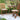 Patio Dining - Square Eucalyptus Bistro Set With Cushions