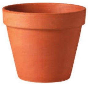 Terra Cotta Standard Pot - 6 inch