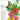 Zinnia Thumbelina Organic Organic Heirloom