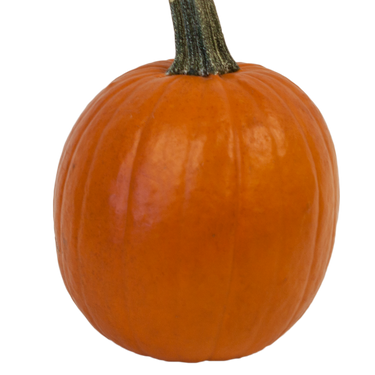 Orange Pie Pumpkin