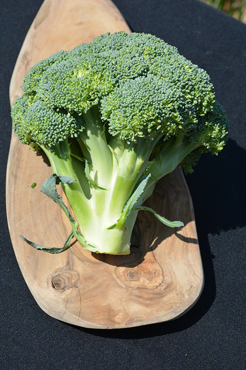 Vegetable Broccoli
