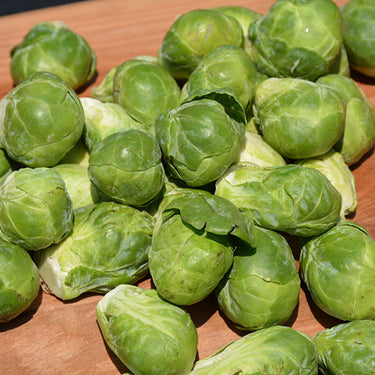 Vegetable Brussel Sprouts