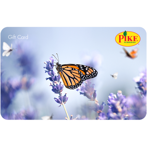 Digital Lavender eGift Card
