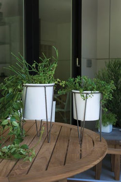 Cassa Plant Stand 7"x12"