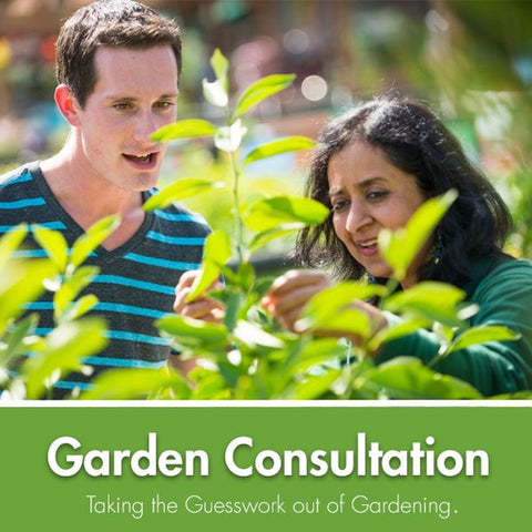 home garden consultation