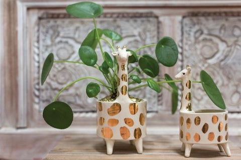 giraffe pot plant Giraffe Planter 5"x 8.5" – Pike Nursery