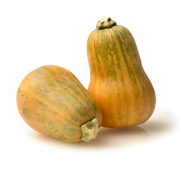 Honeynut Squash