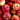 Jonathon Apple