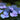 Florist Lacecap Hydrangea