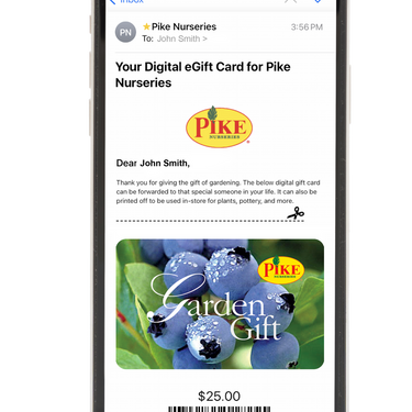 Digital Blueberry eGift Card