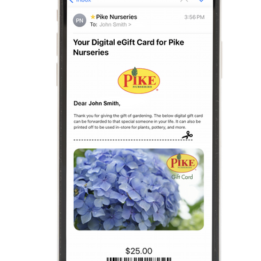 Digital Hydrangea eGift Card