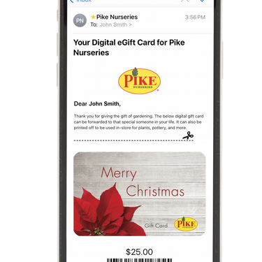Digital Christmas Poinsettia eGift Card