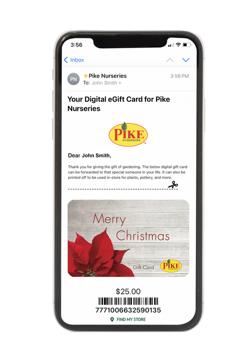 Digital Christmas Poinsettia eGift Card