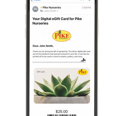 Digital Potted Succulent eGift Card