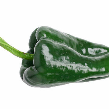 PEPPER ANCHO PEPPER