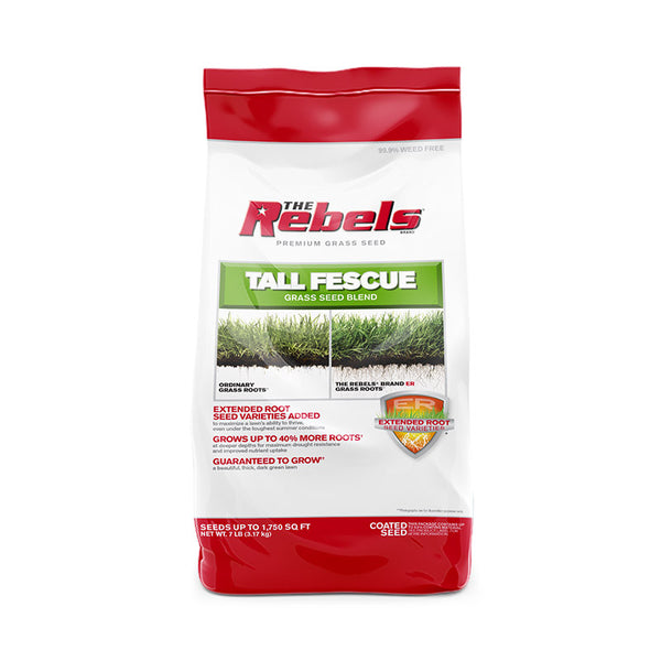 tall fescue control herbicide The Rebels 20 lbs. Tall Fescue Grass Seed Blend