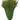 Western Red Cedar Bunch
