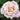 Pinkerbelle Rose