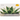 Digital Potted Succulent eGift Card