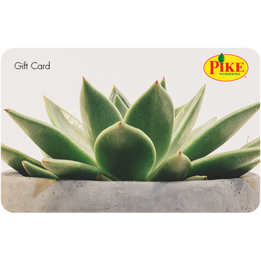 Digital Potted Succulent eGift Card