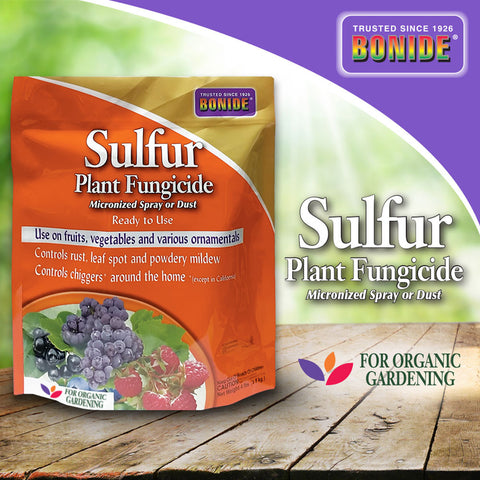 Sulfur Plant Fungicide Dust - 4 lbs