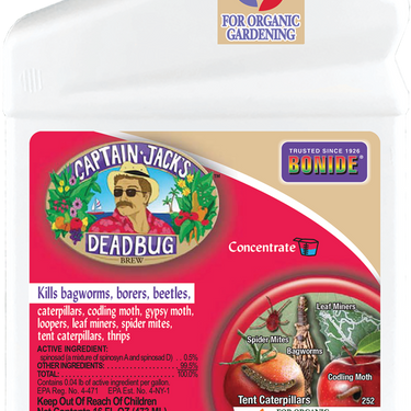 Captain Jack's Dead Bug Brew® Concentrate - 16 oz