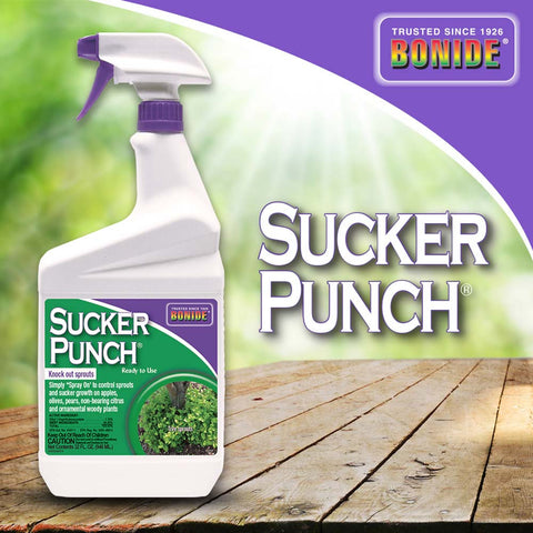 Sucker Punch® Ready-To-Use - 32 oz
