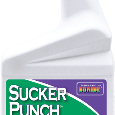 Sucker Punch® Ready-To-Use - 32 oz