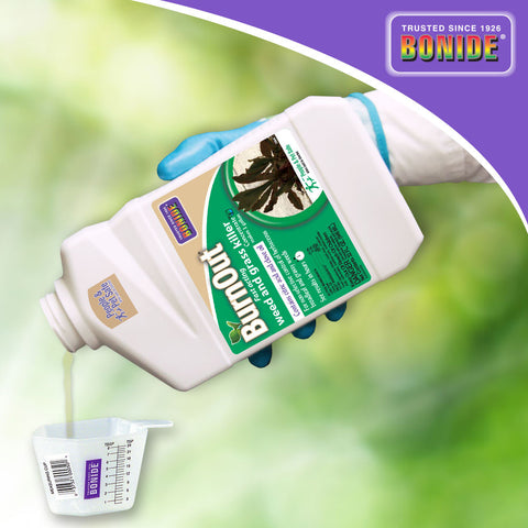 burnout herbicide Bonide BurnOut Weed & Grass Killer Concentrate