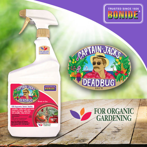captain jack insecticidal soap Captain Jack's Deadbug Brew Ready-To-Use