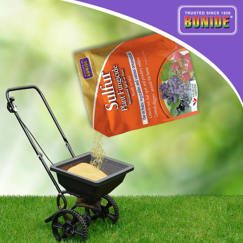fungicide for jade plant Bonide Sulfur Fungicide Dust 4 Pounds