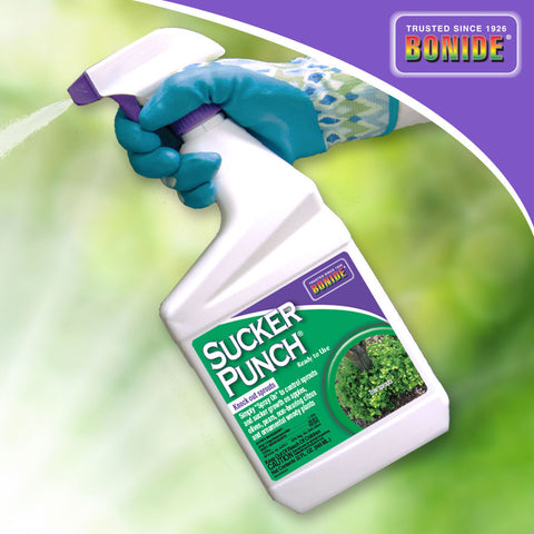 sucker punch herbicide Bonide 277 Sucker Punch, Ready To USE, 1 Qt