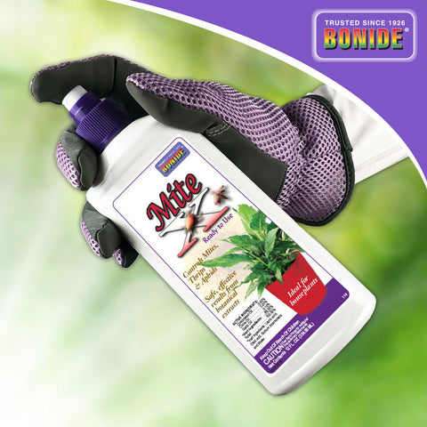 house plant mite spray Bonide Mite X 12 oz
