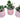 Valentine's Day Succulent Clay Heart Planter