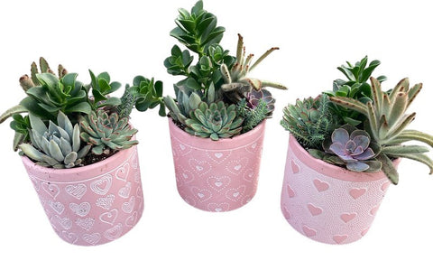 succulents for valentine's day Valentine's Day Succulent Clay Heart Planter