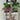 8 inch Orchid Garden Photo Frame